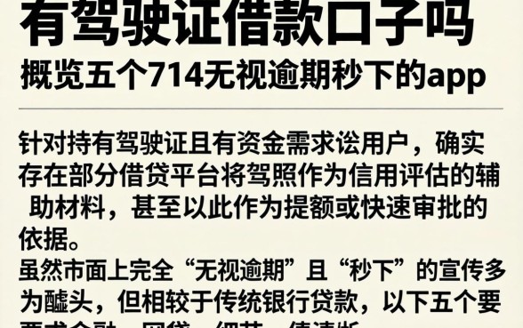 有驾驶证借款的口子吗,概览五个714无视逾期秒下的app