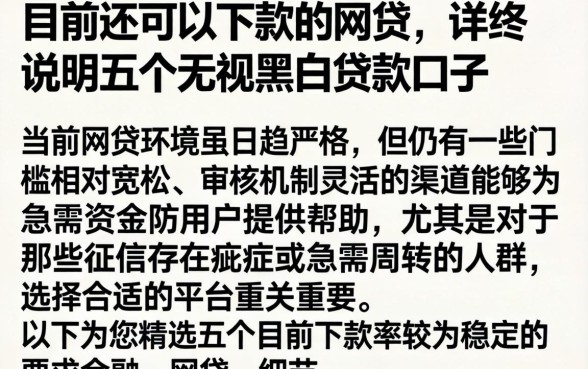 目前还可以下款的网贷,详尽说明五个无视黑白贷款口子