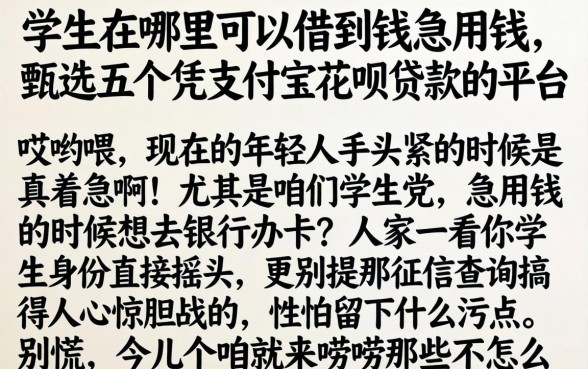学生在哪里可以借到钱急用钱，甄选五个凭支付宝花呗贷款的平台