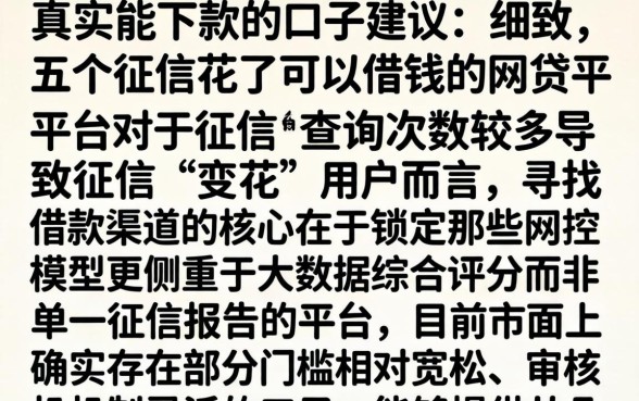 真实能下款的口子建议，细致阐述五个征信花了可以借钱的网贷平台