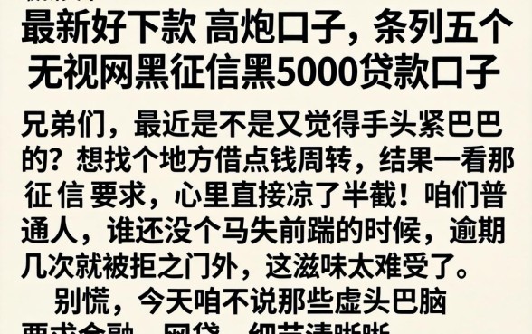 最新好下款的高炮口子，条列五个无视网黑征信黑5000贷款口子