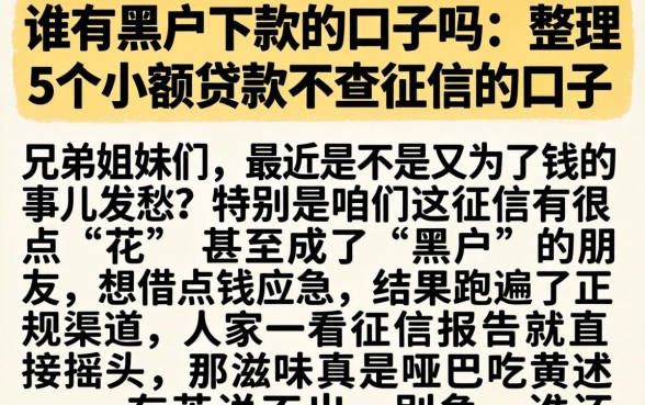 谁有黑户下款的口子吗,整理5个小额贷款不查征信的口子