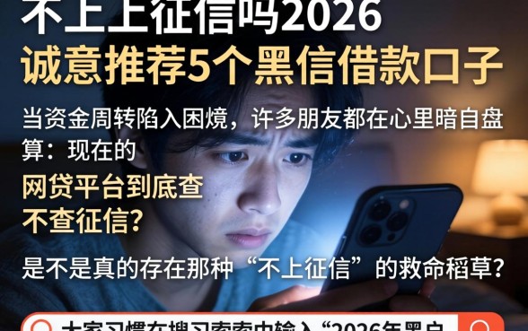 不上上征信吗2026,诚意推荐5个黑户借款口子