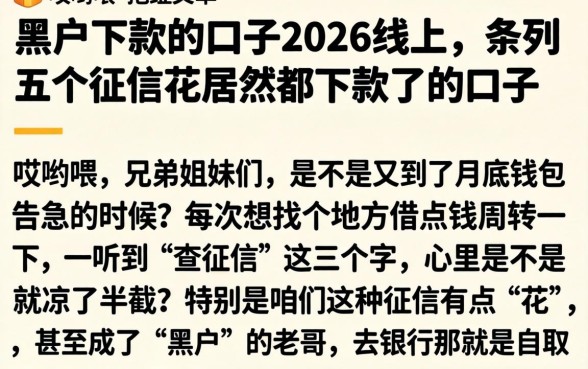 黑户下款的口子2026线上,条列五个征信花居然都下款了的口子