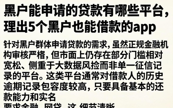 黑户能申请的贷款有哪些平台,理出5个黑户也能借款的app