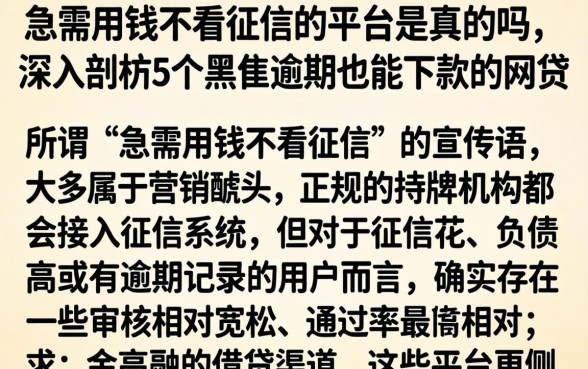 急需用钱不看征信的平台是真的吗，深入剖析5个黑户逾期也能下款的网贷