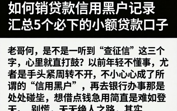 如何销贷款信用黑户记录，汇总5个必下的小额贷款口子