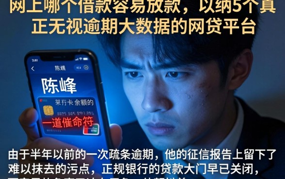网上哪个借款容易放款,归纳5个真正无视逾期大数据的网贷平台