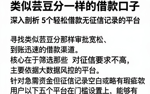 类似芸豆分一样的借款口子，深入剖析5个轻松借款无征信记录的平台