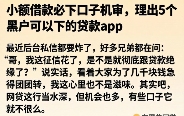 小额借款必下口子机审,理出5个黑户可以下的贷款app