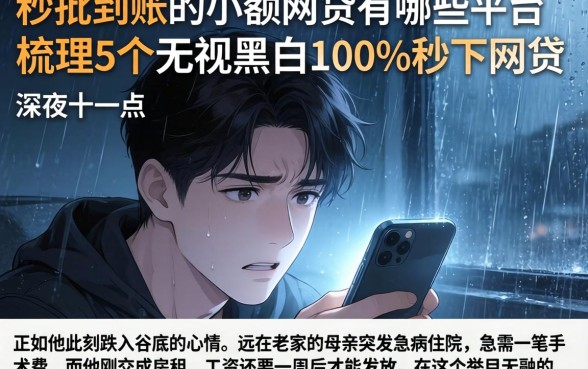 秒批到账的小额网贷有哪些平台，梳理5个无视黑白100%秒下网贷