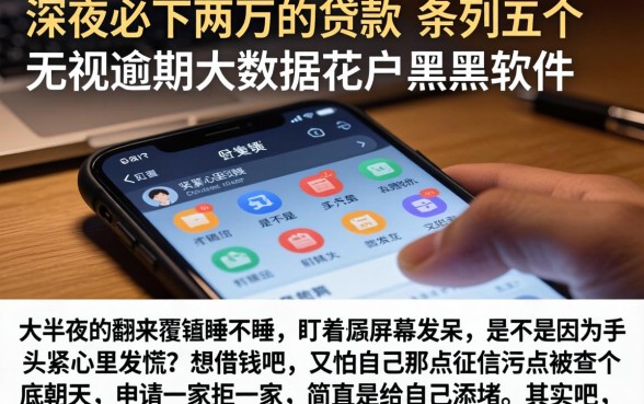 深夜必下两万的贷款，条列五个无视逾期大数据花户黑户软件