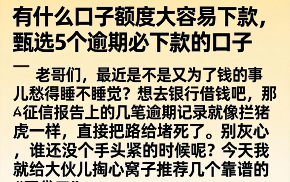 有什么口子额度大容易下款,甄选5个逾期必下款的口子