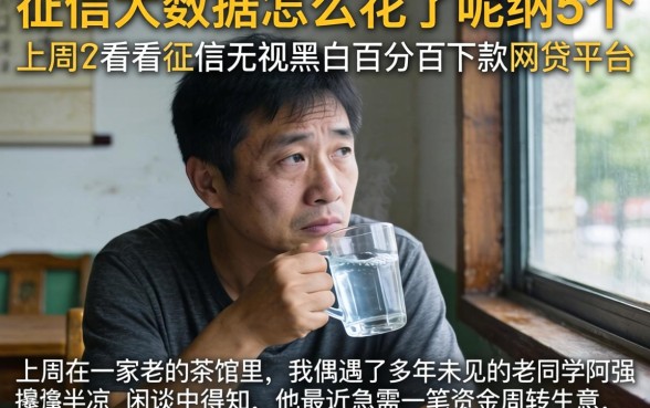 征信大数据怎么花了呢，归纳5个不看征信无视黑白百分百下款网贷平台