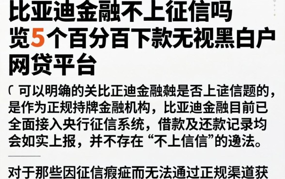 比亚迪金融不上征信吗，概览5个百分百下款无视黑白户网贷平台