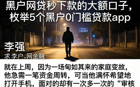 黑户网贷秒下款的大额口子，枚举5个黑户0门槛贷款app