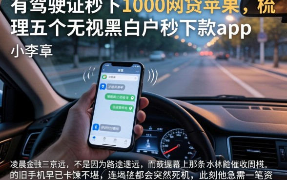 有驾驶证秒下1000网贷苹果,梳理五个无视黑白户秒下款app