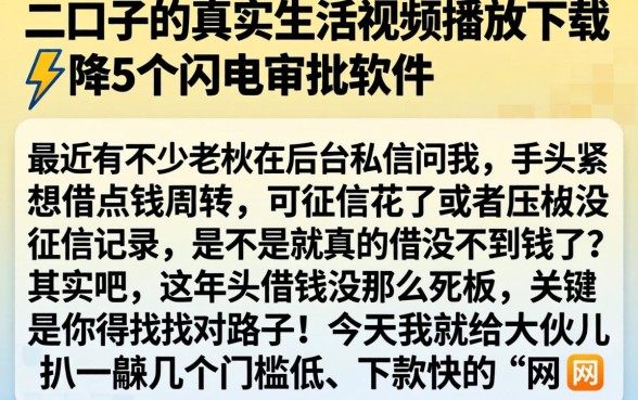 二口子的真实生活视频播放下载,枚举5个闪电审批的软件