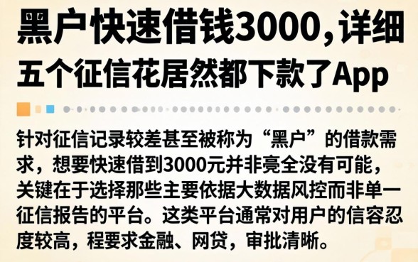 黑户快速借钱3000，详细阐述五个征信花居然都下款了的app