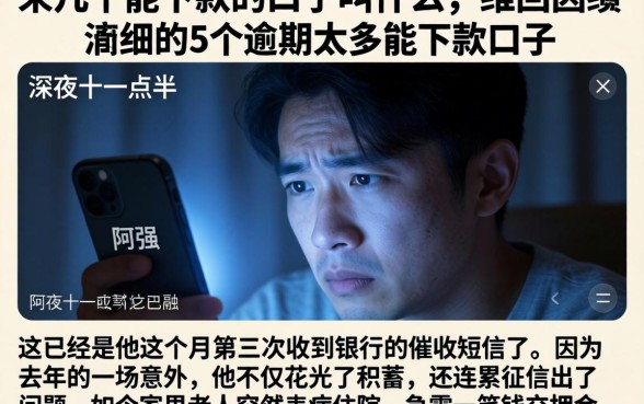 来几个能下款的口子叫什么,详尽说明5个逾期太多能下款口子