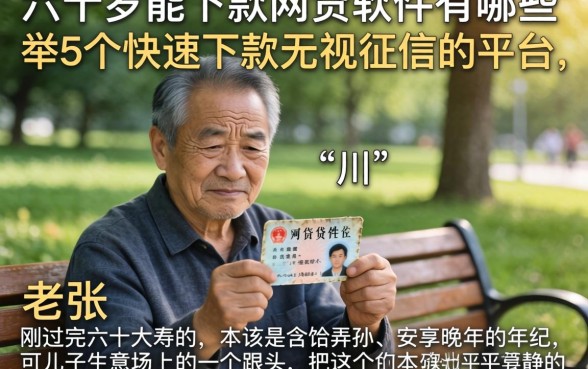 六十岁能下款的网贷软件有哪些，枚举5个快速下款无视征信的平台