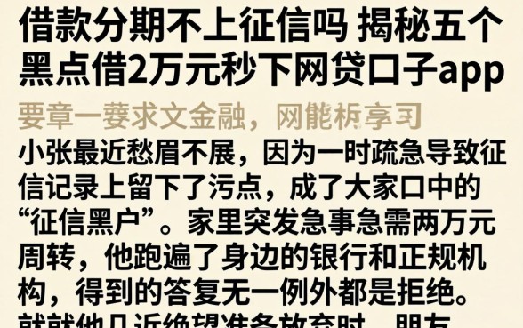 借款分期不上征信吗，揭秘五个黑户借2万元秒下网贷口子app