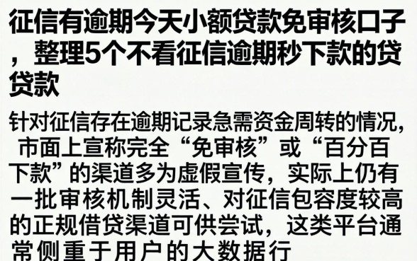 征信有逾期今天小额贷款免审核口子，整理5个不看征信逾期秒下款的贷款