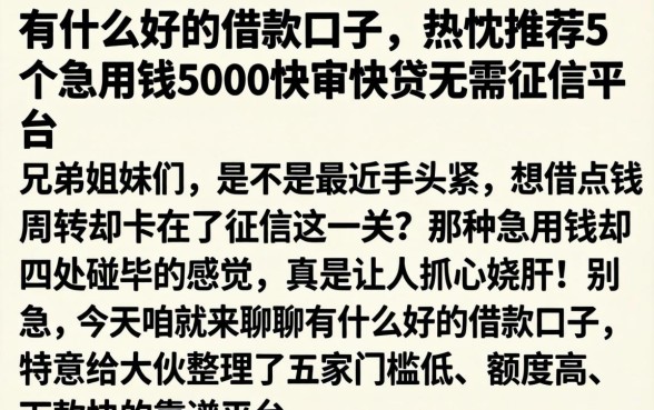 有什么好的借款口子，热忱推荐5个急用钱5000快审快贷无需征信平台