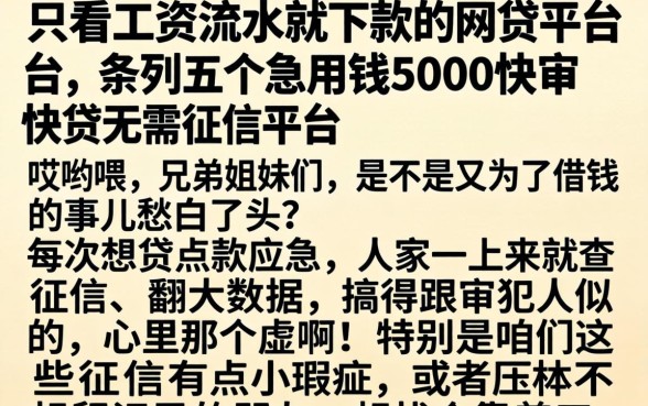只看工资流水就下款的网贷平台，条列五个急用钱5000快审快贷无需征信平台