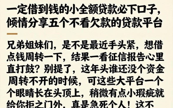 一定借到钱的小额贷款必下口子，倾情分享五个不看欠款的贷款平台
