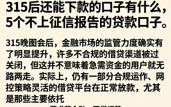315后还能下款的口子有什么，详细阐述5个不上征信报告的贷款口子