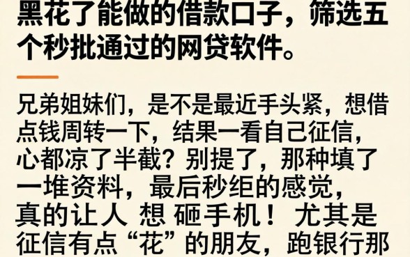 黑花了能做的借款口子，筛选五个秒批通过的网贷软件