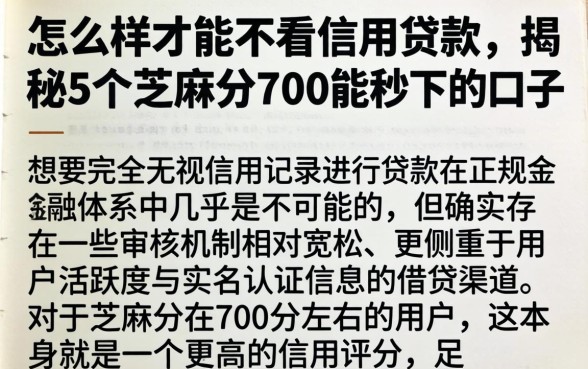 怎么样才能不看信用贷款,揭秘5个芝麻分700能秒下的口子
