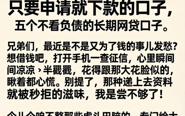 只要申请就下款的口子，详细阐述五个不看负债的长期网贷口子