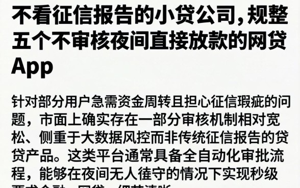 不看征信报告的小贷公司，规整五个不审核夜间直接放款的网贷app