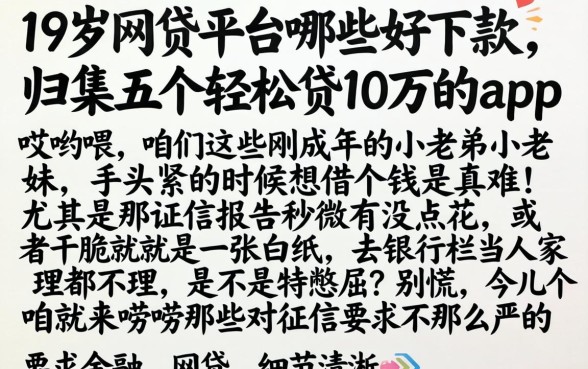 19岁网贷平台哪些好下款，归集五个轻松贷10万的app