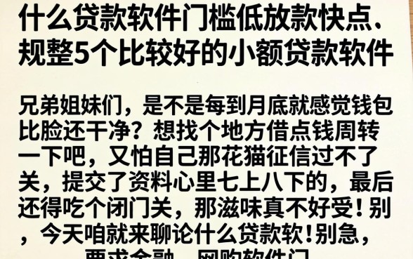 什么贷款软件门槛低放款快点，规整5个比较好的小额贷款软件