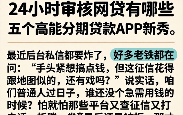 24小时审核的网贷有哪些，详细阐述五个高能分期贷款app新秀