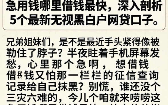 急用钱哪里借钱最快，深入剖析5个最新无视黑白户网贷口子