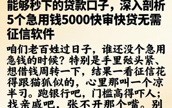 能够秒下的贷款口子,深入剖析5个急用钱5000快审快贷无需征信软件
