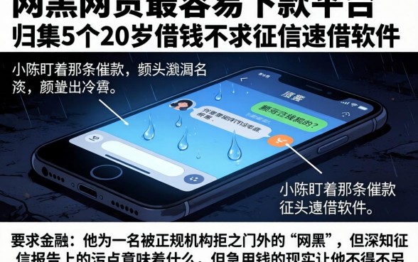 网黑网贷最容易下款的平台，归集5个20岁借钱不求征信速借软件