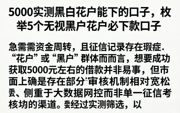 5000实测黑白花户能下的口子，枚举5个无视黑户花户必下款口子