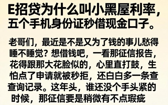 e招贷为什么叫小黑屋利率,枚举五个手机身份证秒借现金的口子