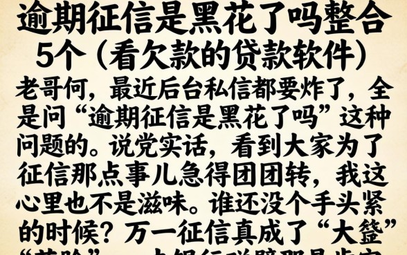 逾期征信是黑花了吗，整合5个不看欠款的贷款软件