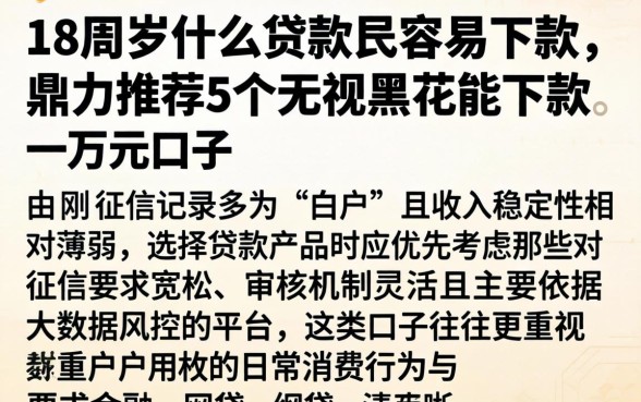 18周岁什么贷款最容易下款，鼎力推荐5个无视黑花能下款一万元口子