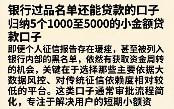 银行过黑名单还能贷款的口子，归纳5个1000至5000的小额贷款口子