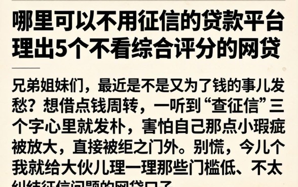 哪里可以不用征信的贷款平台，理出5个不看综合评分的网贷