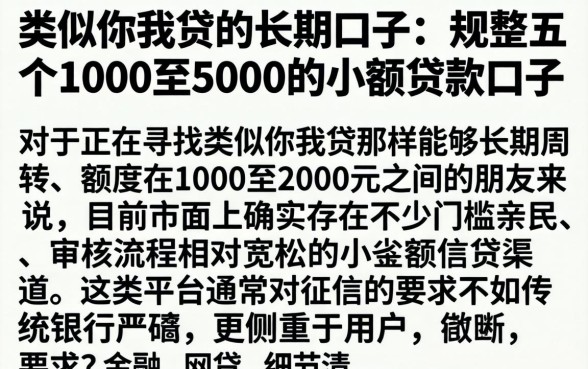 类似你我贷的长期口子，规整五个1000至5000的小额贷款口子