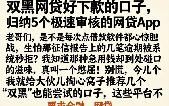 双黑网贷好下款的口子，归纳5个极速审核的网贷app