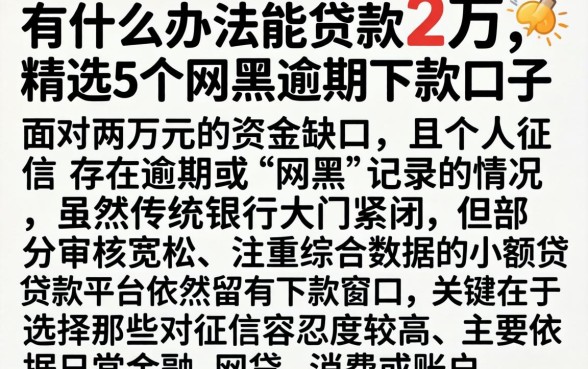 有什么办法能贷款2万,精选5个网黑逾期下款口子